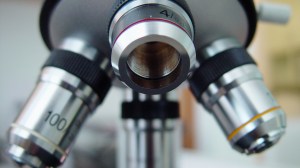 A needs analysis means putting the business under a microscope